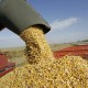 L'Ucraina vede un forte aumento delle esportazioni agricole a luglio