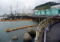 Fukushima: fuoriuscite in mare altre sostanze nocive