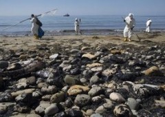 Marea nera in California: è stato di emergenza