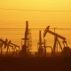 Petrolio, l'Opec conferma un aumento limitato della produzione