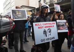 Banca inglese si scusa dopo accuse violente ai vegani