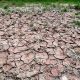 Allarme siccità: ok dal Governo allo stato di emergenza per 5 regioni