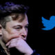 Twitter, crollo dopo l'acquisto di Musk: da 44 a 20 miliardi