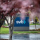 Banche, SVB Financial Group crolla in Borsa. Cosa sta succedendo
