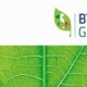 BTP Green, in arrivo una nuova emissione. Cosa sapere